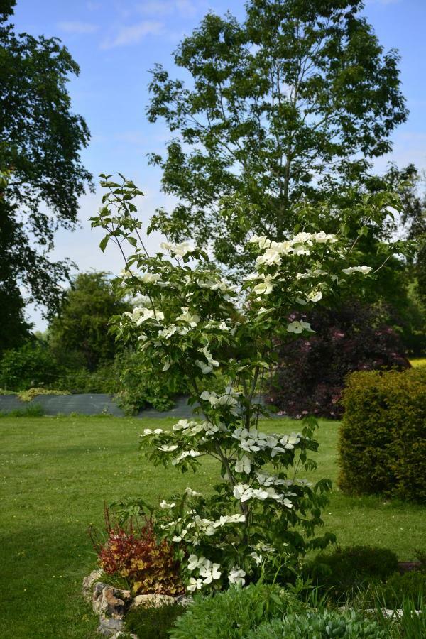 Cote Jardin Hébergement de vacances *